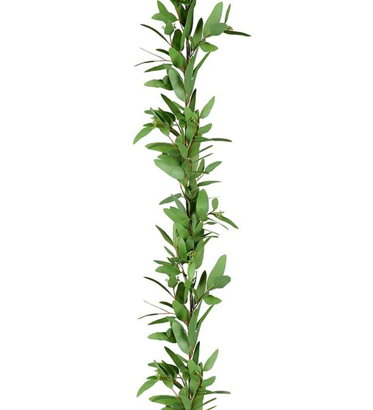 eucalyptus Girlang 160 cm- Grønn  - Mr Plant