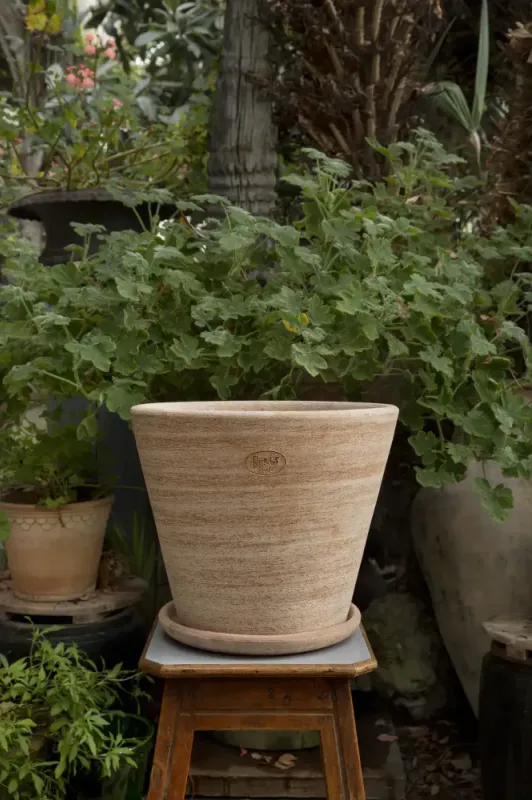 JulieRaw Terracotta 40  cm cm rosa - Bergs potter